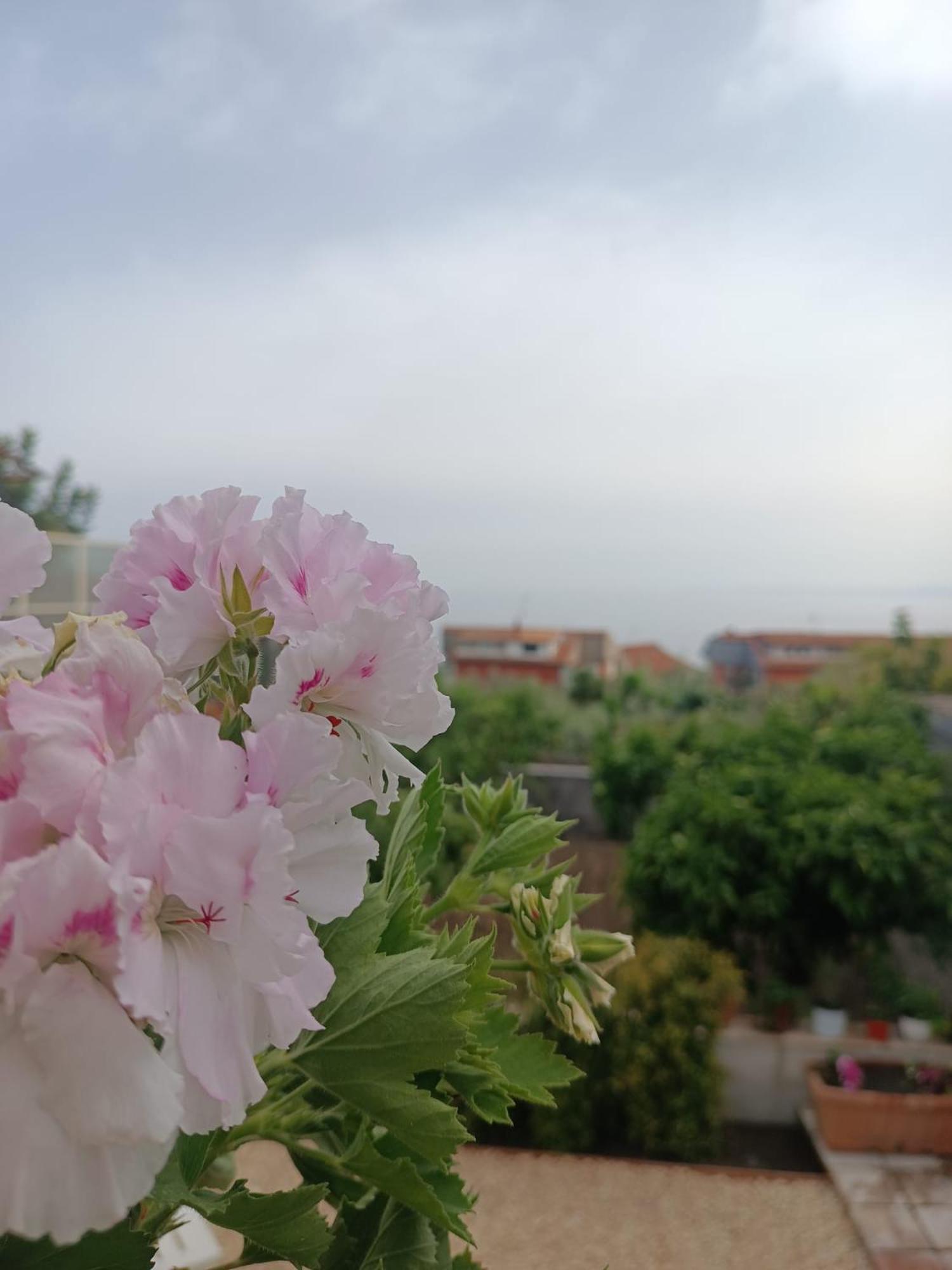 Willa Mosa House Aci Castello Zewnętrze zdjęcie